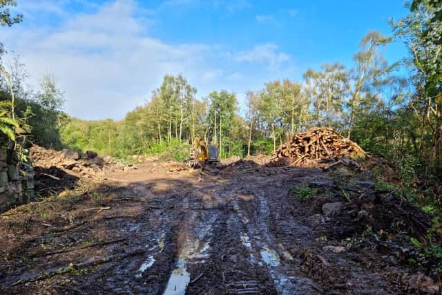 Local residents say diggers have cleared areas of the land far beyond what was permitted by the felling licence. (Photo: Contributed)
