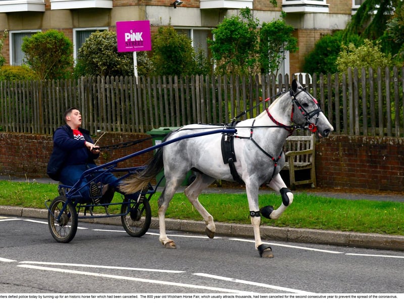 A large crowd turned up for the Wickham Horse Fair today despite it being cancelled. Picture: Roger Arbon/Solent News & Photo Agency