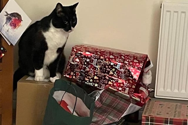 Bob getting stuck into some Christmas presents.