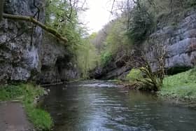 Enjoy a walk alongside a river in the Wye Valley and see if you spot Derbyshire's iconic bird, the dipper, bobbing up and down on the rocks.