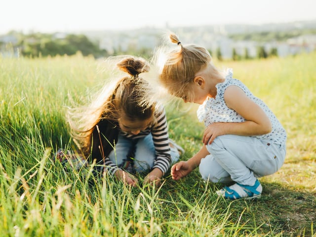 Go hunting for bugs in Grassmoor Country Park's wildflower meadow and make bug peg-puppets to take home or colour a beautiful bug mask!  The free one-hour sessions on August 3 from 12noon to 2pm are open to children aged 4 to 11 years who must be supported by a parent or guardian.