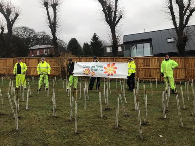 The plating team with the new saplings in Spital Park