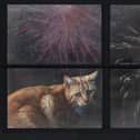Cats Protection is encouraging animal lovers to have their say on how fireworks affect pets as time is running out to respond to a major Government consultation on future fireworks regulations.