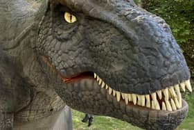 Dinosaurs will be at Crich Tramway Village on Saturday, July 29, 2023.
