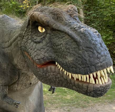 Dinosaurs will be at Crich Tramway Village on Saturday, July 29, 2023.
