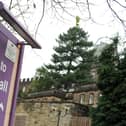 An annual report compiling Derbyshire County Council’s handling of Local Government and Social Care Ombudsman complaints has highlighted the authority’s continued significant shortfalls involving special educational needs provision.