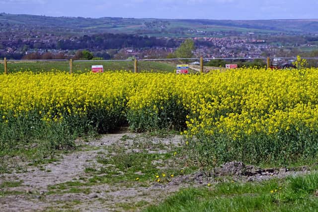 Work has begun on a major Chesterfield housing development, off Northmoor View, Brimington, which will see the loss of green fields and a wildlife haven.