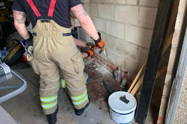 Firefighters who chiselled through concrete blocks to reach the terrified animal.