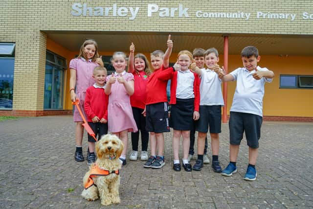 Ofsted inspectors have visited Sharley Park Community Primary School at Pilsley Road, Danesmoor on April 18 and 19, 2023. In a report published on June 15, inspectors have rated the school as ‘good’ and praised it for ‘true community’, high expectations and ‘very well’ behaviour.
