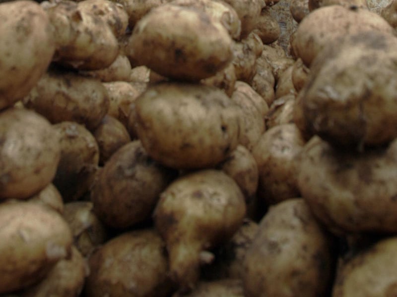 Rick Ericson was one of many to give a shout out to creamy Ayrshire potatoes, perfect topped with melted butter.