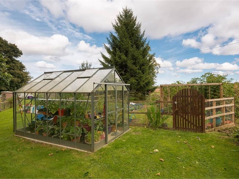 Greenhouse, which comes with the apartment.