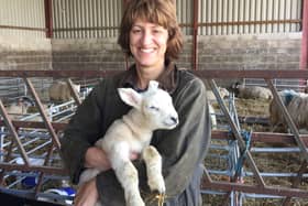 Kay Croot with a lamb