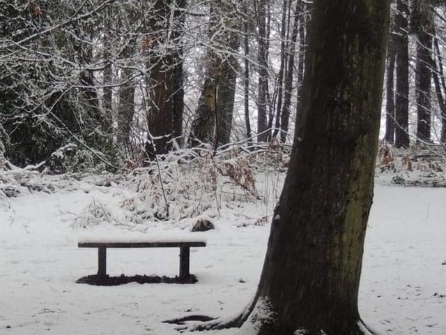 Winter wonderland from Sarah Blackham.