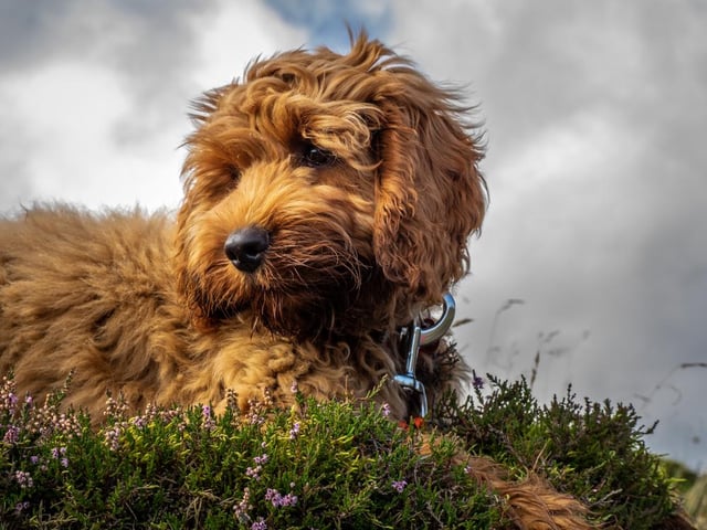 93,100 searches on average per month (Photo: Shutterstock)
