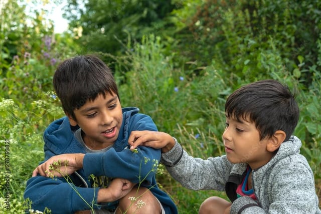 Hunt grasshoppers and stalk spiders at Middleton Top, near Matlock, from July 22 to September 4, between 11am to 4pm for only £1 per child.