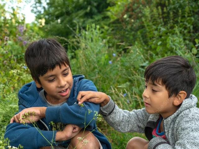 Hunt grasshoppers and stalk spiders at Middleton Top, near Matlock, from July 22 to September 4, between 11am to 4pm for only £1 per child.