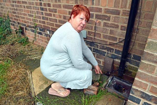 Alison Taunton showing where the rats get in.