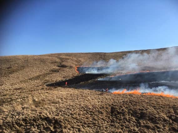 The unseasonably warm weather conditions are already resulting in daily wildfires.