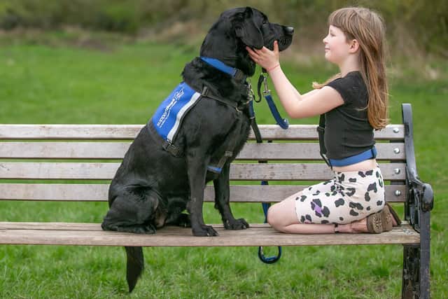 Could you be in the market for being a Support Dogs puppy socialiser?