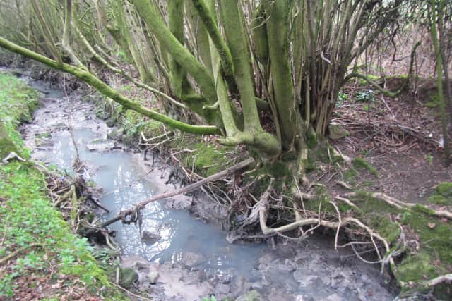 Environment Secretary Emma Reynolds branded the leaks “appalling”