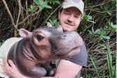 Chesterfield goes wild on August 22 when life-size  puppets will be a highlight of a safari day in the Market Square. The animatronic animals will include a baby hippo, baby rhino, baby apes, lion and orangutan.