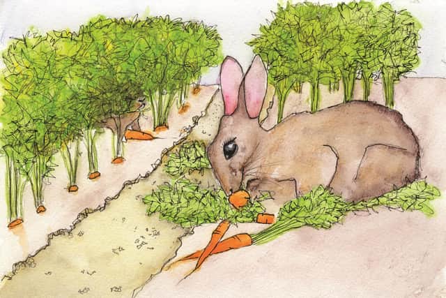 The rabbits in the book are named after members of care home staff.