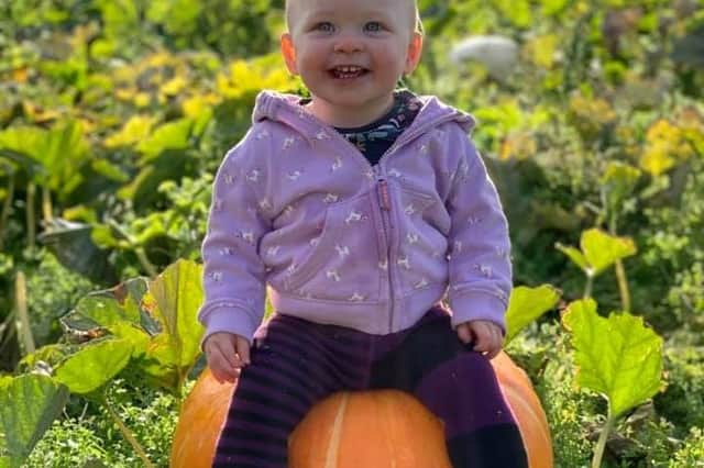 Tilly Tomlinson rests on a pumpkin on her family's farm.