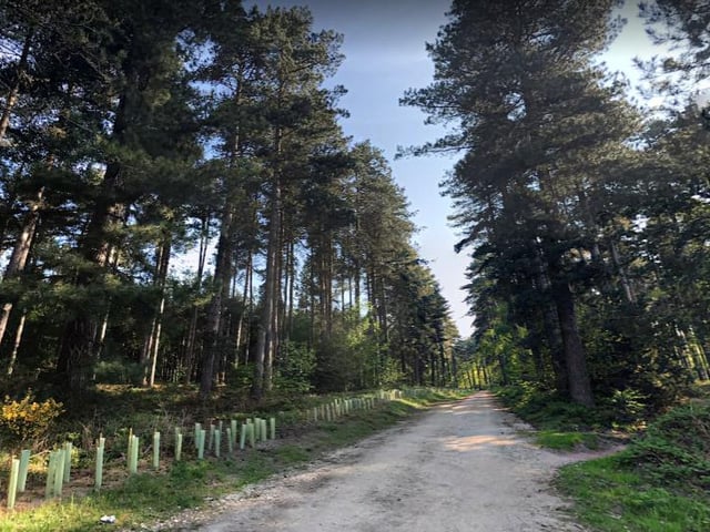 Kitchener Trail is a beautiful 13.8 kilometre loop route located near Mansfield.
