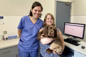 Spaniel Elton with Veterinary physiotherapist Holly Finelli (left) and owner Philippa Gascoyne.