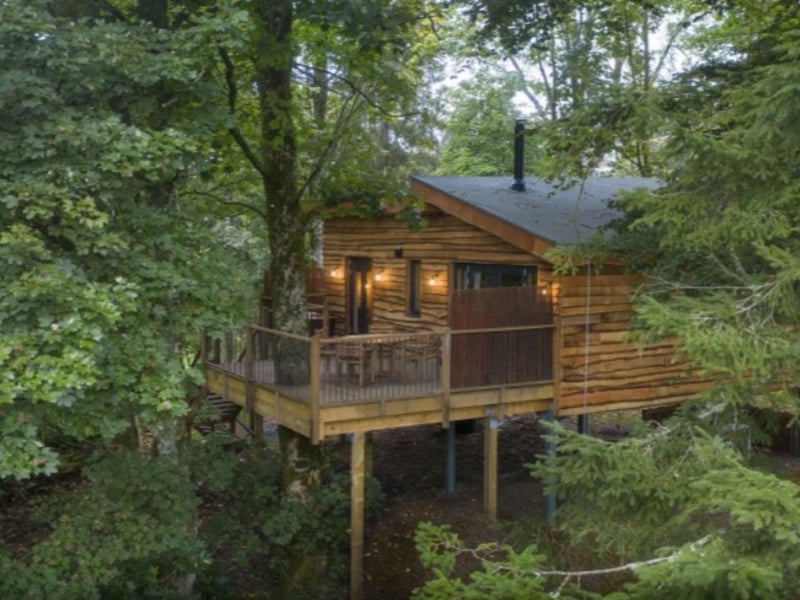 All five of the treehouses are surrounded by beautiful beech forest.