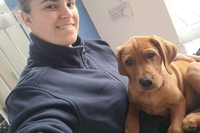 Charlotte first opened her pet sitting business Ruff Times Made Easy in Danesmoor in 2018. Unfortunately she had to close it not long after as her dad became poorly and unfortunately passed away in 2019. Charlotte   went on to do care work for a while  but reopened her dog business February 2022.