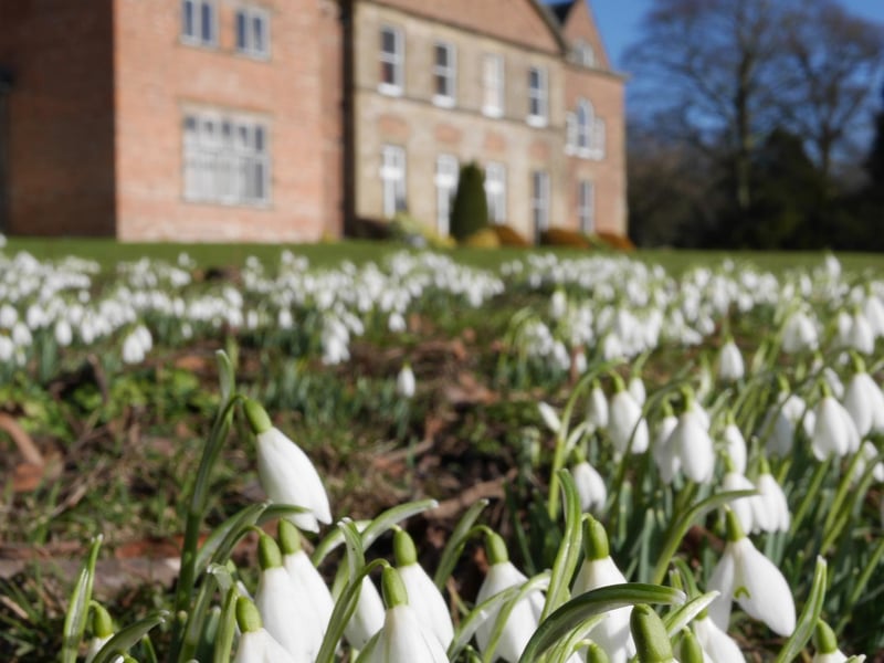 Spring is the best time to visit the gorgeous Hopton Hall Gardens near Wirksworth and enjoy the variety of blooming flowers. The estate is close to the impressive reservoir of Carsington Water which offers 8.5 miles with stunning views across the reservoir.