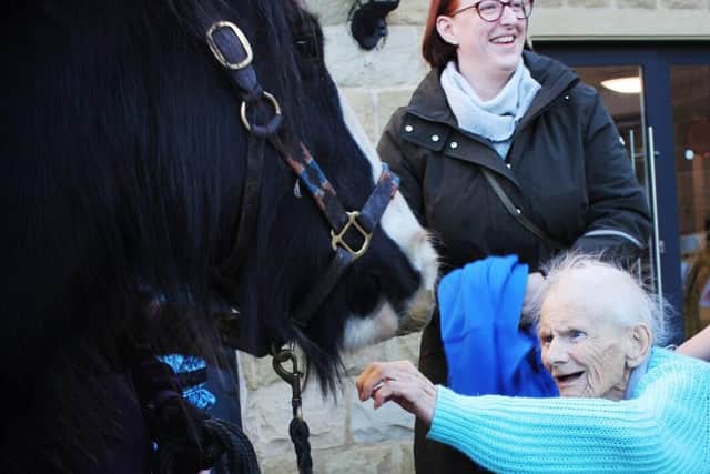 Ann reaching out to stroke Polly the horse.