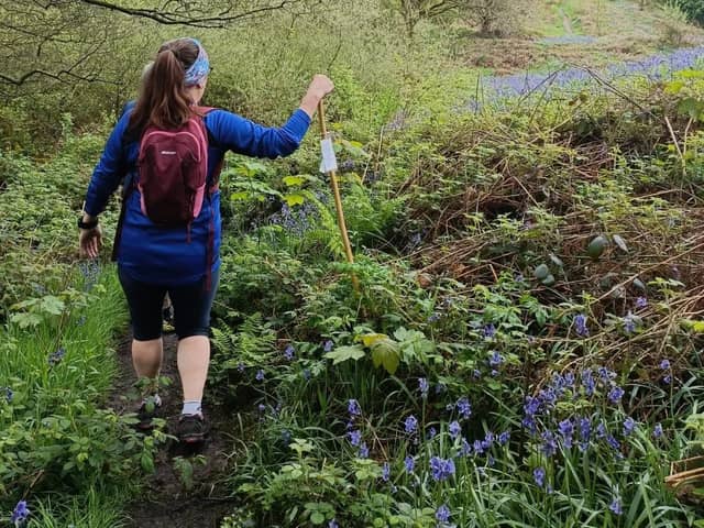 Emma found the stick in Bow wood over the Bank Holiday weekend and took it through the bluebells to Aqueduct Cottage.