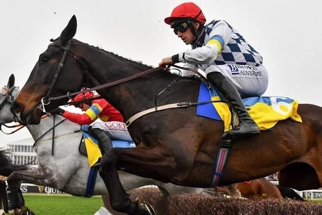 Tim Forster Racing Our expert's pinstickers' guide to all the Grand National runners at ...