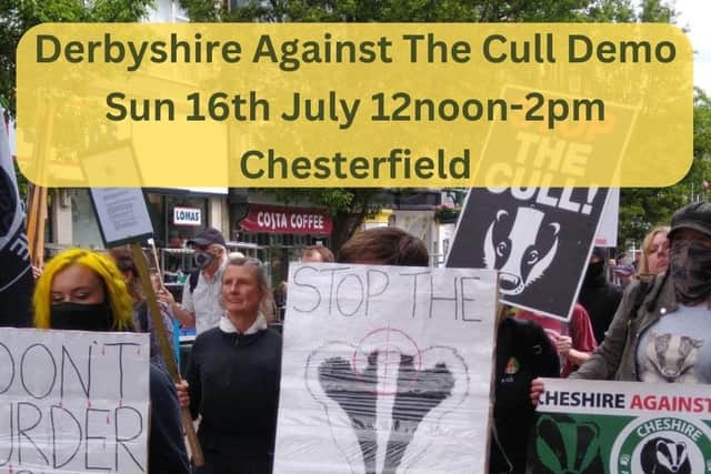 This year’s protest will be held in Chesterfield at noon on Sunday, July 16 – with a walk around the town, leaflets distribution, and badgers representations planned. The two-hour-long demonstration organsied by Derbyshire Against The Cull is set to be ‘family friendly’.