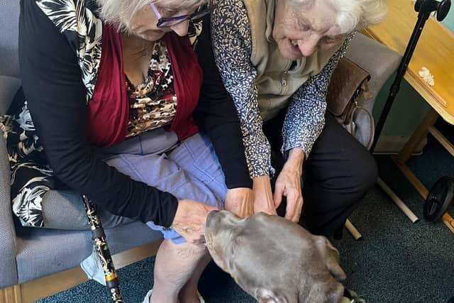 Residents at Brookholme Care Home with Bruce