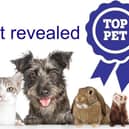 The shortlist for our Top Pet competition has been revealed