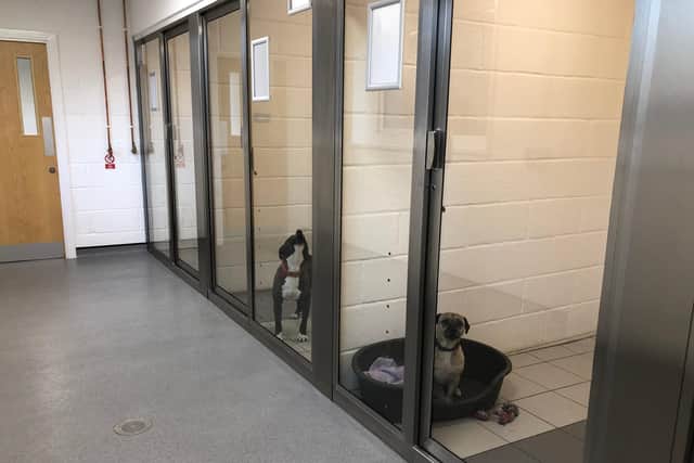 New kennels have been completed this year as part of a £2m rebuild at the RSPCA's Chesterfield Animal Centre.