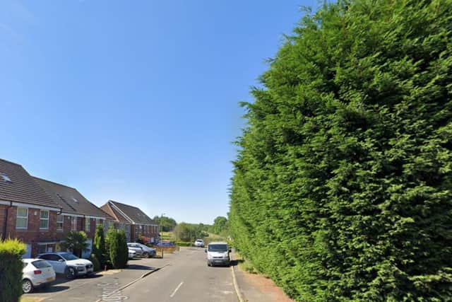 Residents believe that the conifers offer a level of privacy and improve wellbeing. They fear the new properties would drastically change and impact the visual appearance of Babbington Street.