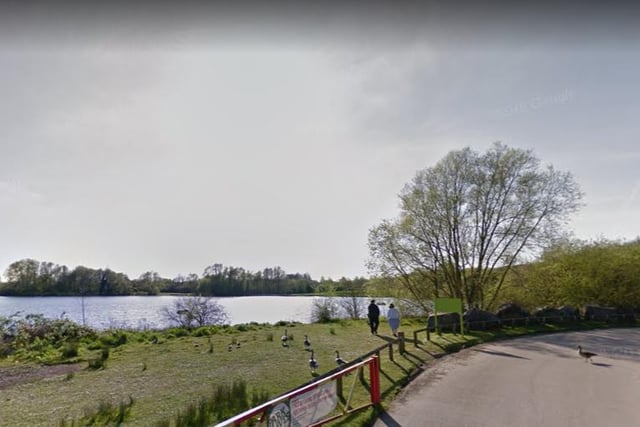 Treat yourself to a day out around Colwick Country Park.