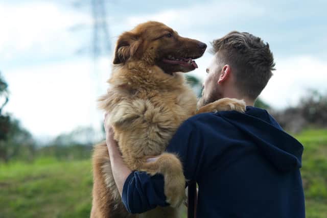 Chesterfield & North Derbyshire RSPCA branch has rehomed 110 dogs in 2021.