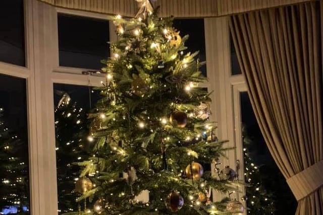 Hannah Gibbins shared this photo of her Christmas tree twinkling in her window.