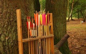 Think you've got what it takes to be an outlaw? Here's the chance to put your archery skills to the test, at the home of Robin Hood! The Sherwood Outlaws will be providing one-to-one instruction at the Major Oak £3 for 5 arrows. Venue: Sherwood Forest Visitor Centre. Date and time:  29 Mar to 31 March. Open 10:00 - 15:00