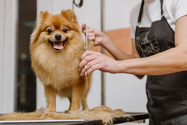 We have gathered a list of the best-rated professional grooming salons in Chesterfield and surrounding areas based on Google Reviews.