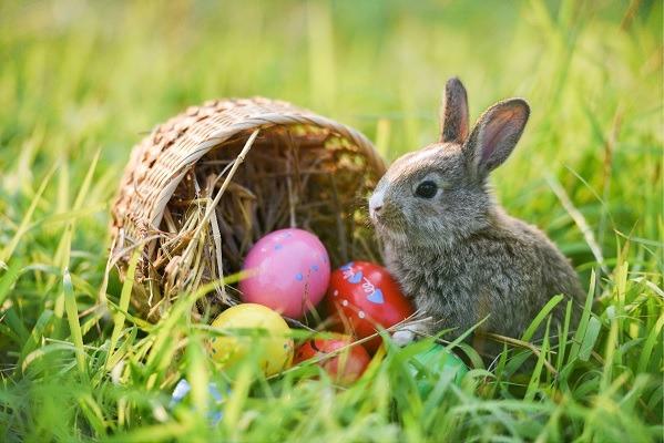 A free Easter egg hunt, games and activities for children, craft and gift stalls, cakes, sweets and treats will be on offer at St Michael's Church Hall, Brimington on Easter Sunday, April 5, from 11.30am until 2.30pm. This annual Easter extravaganza is organised by 34th Chesterfield (Brimington) Scouts.