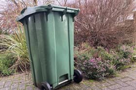 An Example Of A Council Roadside Green Waste Collection Bin