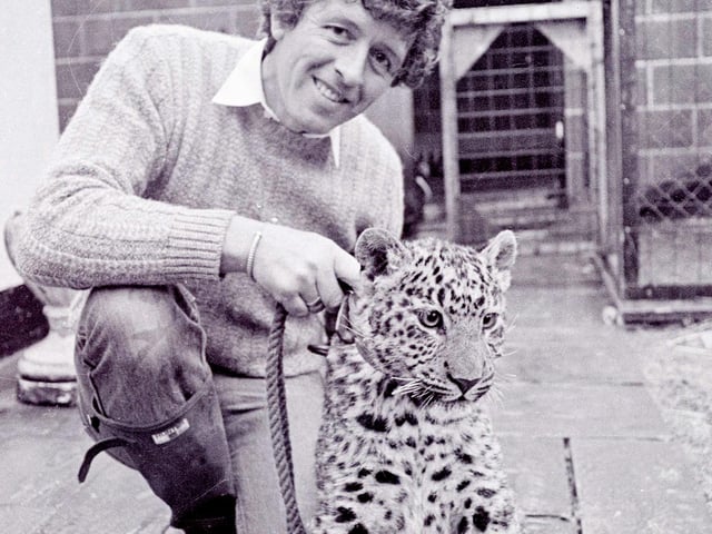 Bill Holmes from Codnor Pet shop pictured with his Leopard, December, 1983.