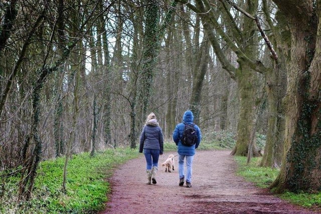 All ages and abilities are catered for on the Hardwick estate, from a long walk in the parkland surrounding the spectacular hall built by Bess of Hardwick to a gentle stroll around Lady Diana's Walk. Several routes are suitable for pushchairs and wheelchairs.