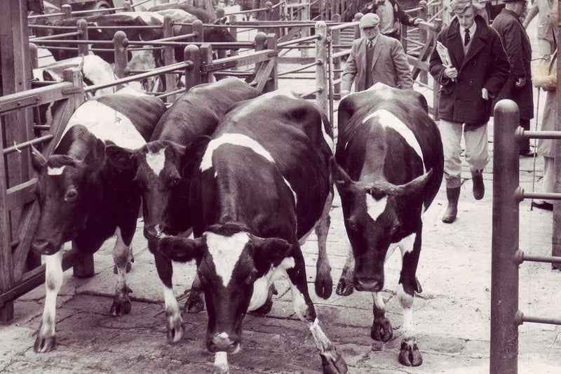 Bakewell Cattle Market pictured on March 26, 1970